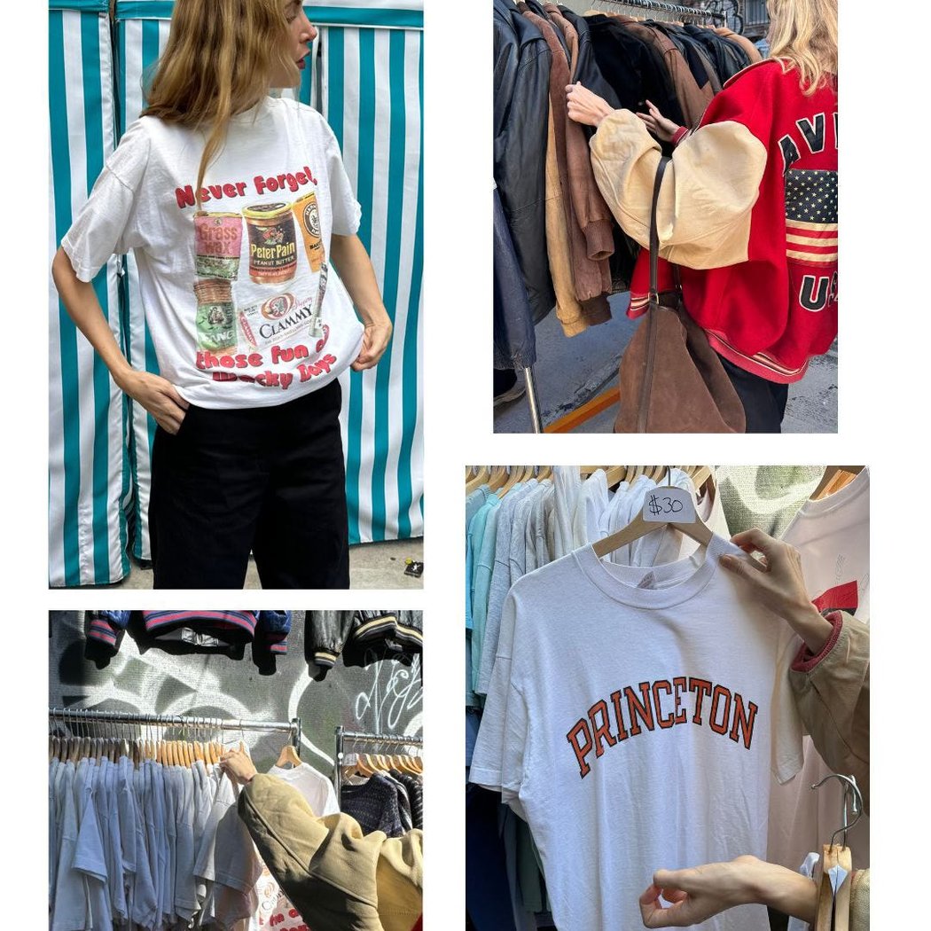 Ludlow Flea 2